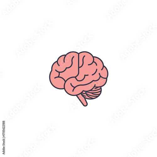 human brain illustration conceptualizing neuroscience health and cognitive function in a minimalist design for medical education materials