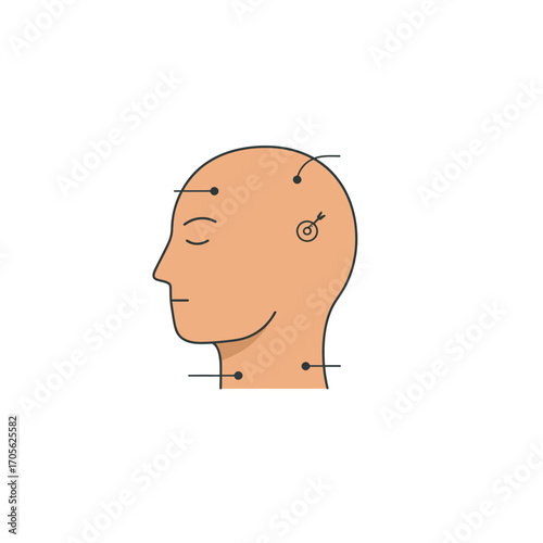 acupuncture points on head and neck for therapy a detailed illustration showing pressure locations ideal for health and wellness blog content