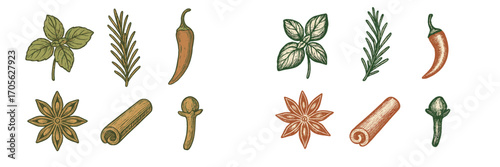 Assorted spices and herbs collection for culinary use