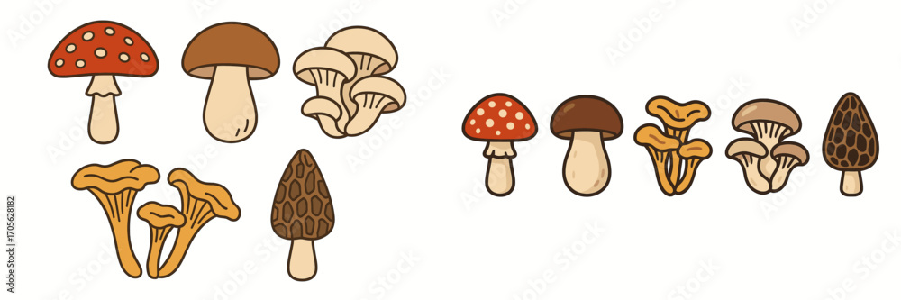 Fototapeta premium Diverse set of wild forest mushrooms featuring fly agaric, boletus, chanterelle, and morel varieties