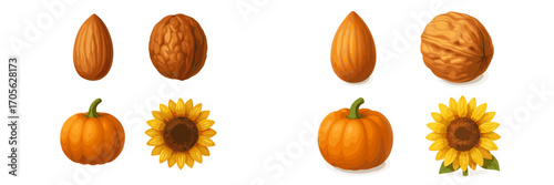 Colorful autumn harvest elements with fresh almonds, walnuts, orange pumpkins, and yellow sunflowers