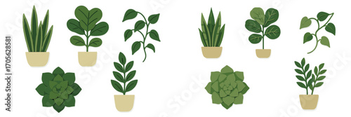 Potted green houseplants and succulents with layered paper cut effect