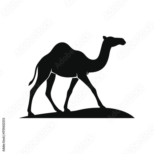 Dromedary Camel Silhouette Walking on Desert Dune Vector