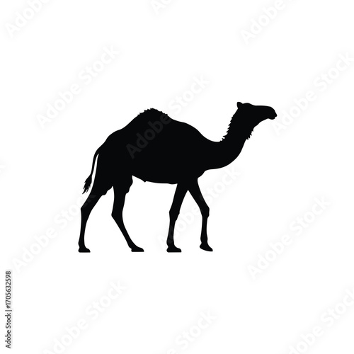 Dromedary Camel Silhouette with Shaggy Neck Minimal Vector