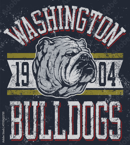 Washington Bulldogs 1904 Vintage T-Shirt