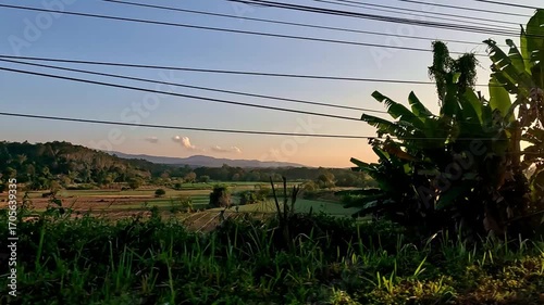 Early morning driving POV roadtrip along countryside road with electric poles and vast rice fields that shows a candid yet cinematic rural life in Chiang rai, Thailand