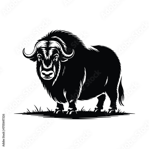 Majestic Musk Ox Illustration Black and White Vector Image Wild Animal Design Element