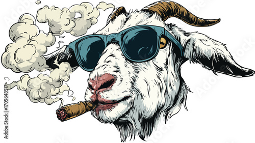 Cartoonish Vector Illustration of a Goat's Head - Professional Animal Design