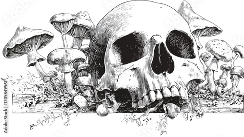 Woodcut Style Illustration of Human Skull with Mushrooms for Designs