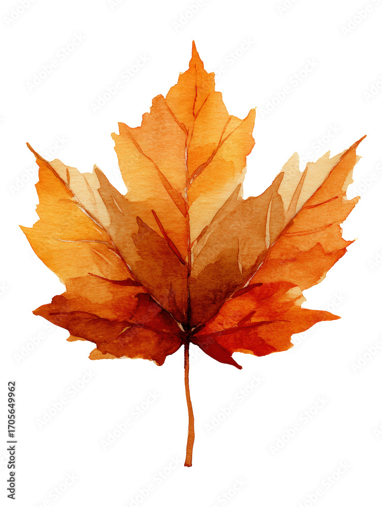 Fototapeta premium Watercolor a vibrant orange and red maple leaf in autumn colors, isolated on transparent background