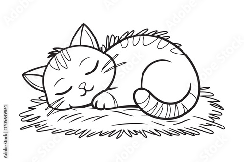 Cute Sleeping Kitten on a Hay Nest Black and White Line Art Drawing