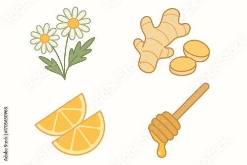 Natural ingredients for health and wellness featuring chamomile flowers, ginger root, lemon slices, and honey dipper