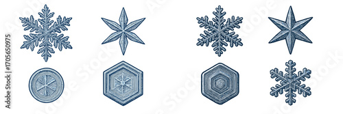 Assortment of intricate winter snowflakes and ice crystal shapes with detailed frosty patterns and geometric designs