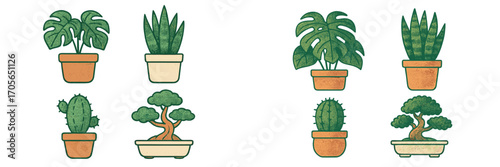 Collection of diverse potted houseplants including monstera, snake plant, cactus, and bonsai trees in various pots