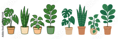 Popular green potted houseplants collection for modern home and office interior decoration botanical design