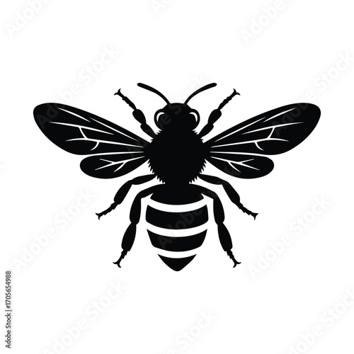 Black silhouette of honeybee flying and detailed isolated on white background vector illustration