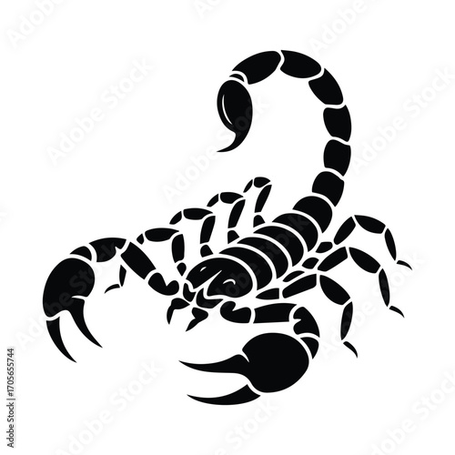 Bold Scorpion Silhouette Design with a Strong Sense of Power and Mystique