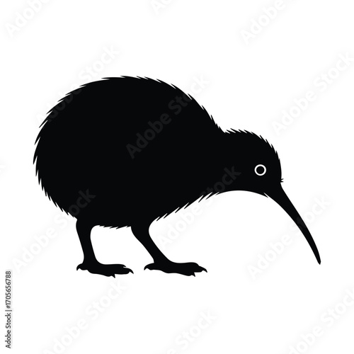Silhouette of New Zealand Kiwi Bird a National Icon and Symbol of Conservation Efforts