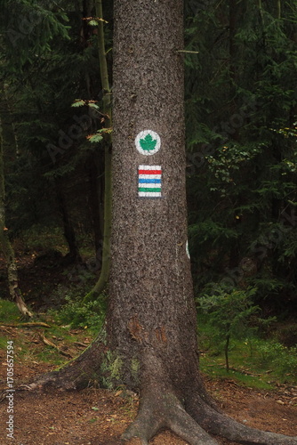 Oznaczenie szlaku turystycznego na drzewie w lesie