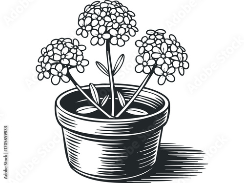 Potted flowering plant line art. Vector hand drawn illustration
