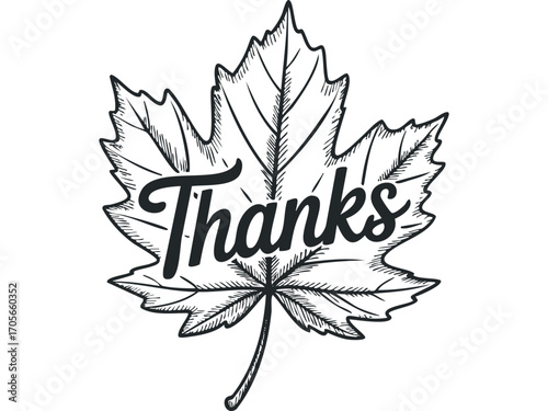 Hand Drawn Maple Leaf with Thanks Message. Vector hand drawn illustration