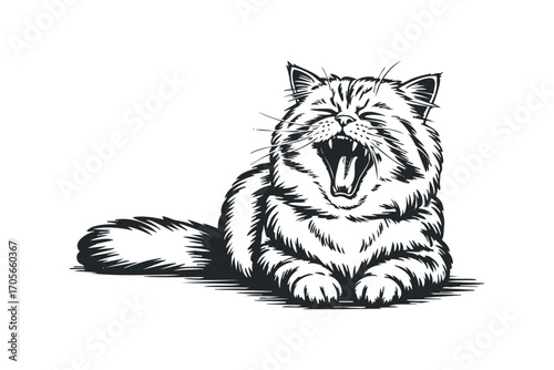 Feline Yawning With Open Mouth On Transparent Background. Vector hand drawn illustration