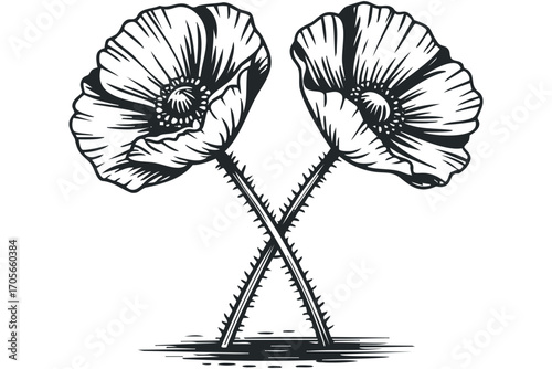 Monochromatic stylized poppy flowers with thorny stems on transparent background. Vector hand drawn illustration