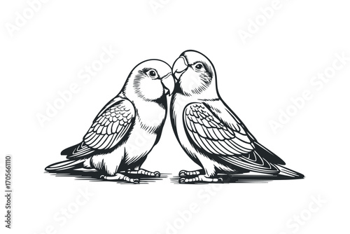 Two Lovebirds Perched Together. Vector hand drawn illustration