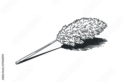 Hand drawn feather duster on transparent background. Vector hand drawn illustration