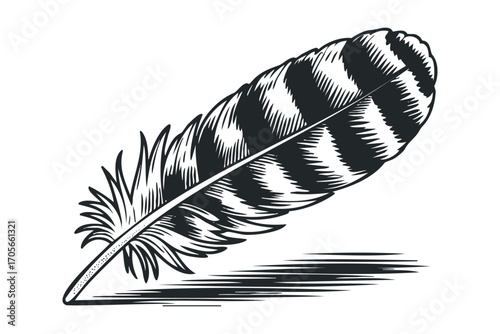 Stylized Bird Feather Isolated on Transparent. Vector hand drawn illustration
