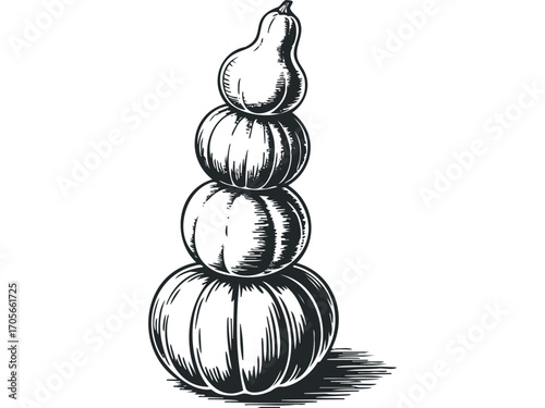 Stacked gourds and pumpkins sketch on transparent background. Vector hand drawn illustration
