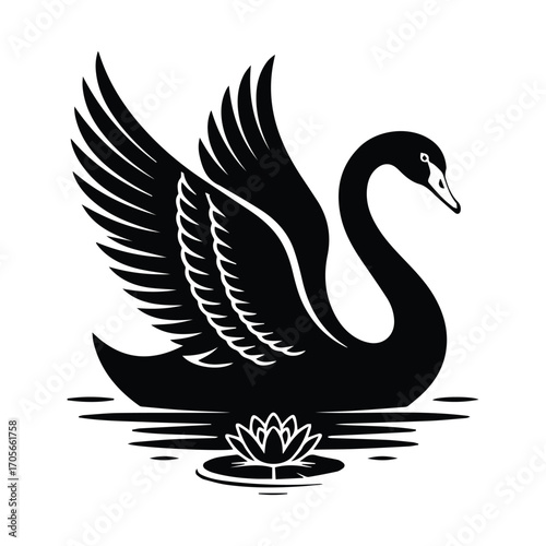 Elegant black swan gracefully floating on water lily pond monochrome illustration