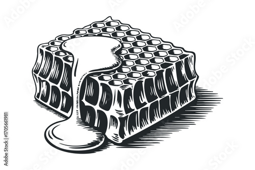 Honeycomb slice with dripping sweet syrup, isolated. Vector hand drawn illustration