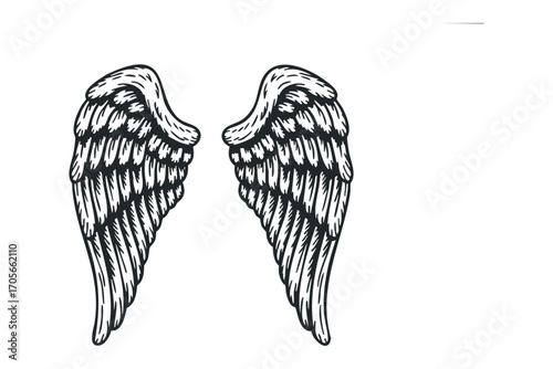 Hand drawn angel wings isolated on transparent background. Vector hand drawn illustration