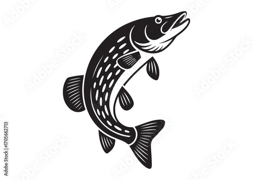 Fish pike line art vector