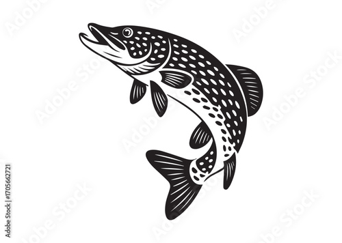 Fish pike line art vector