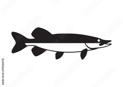 Fish pike line art vector