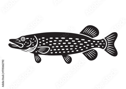 Fish pike line art vector