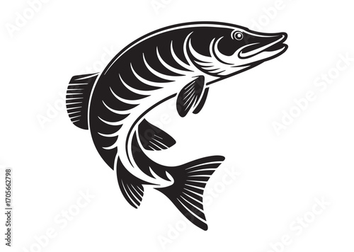 Fish pike line art vector