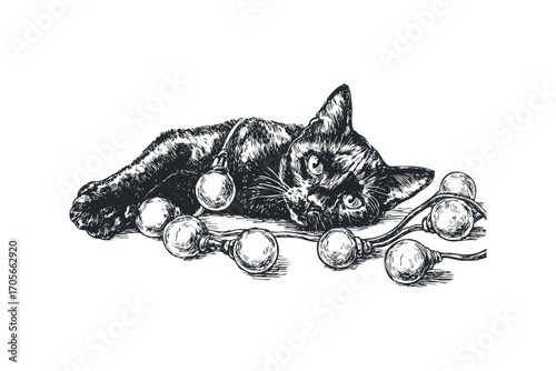Sketch of a black cat lounging with a string of light bulbs on transparent background. Vector hand drawn illustration