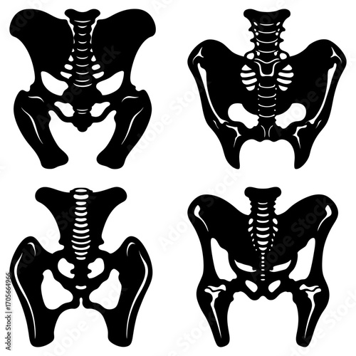 Four anatomical illustrations of the human pelvis and spine in black and white on a white background