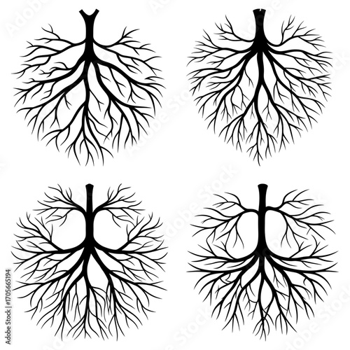 Four abstract tree root systems arranged in a square pattern on a white background design element