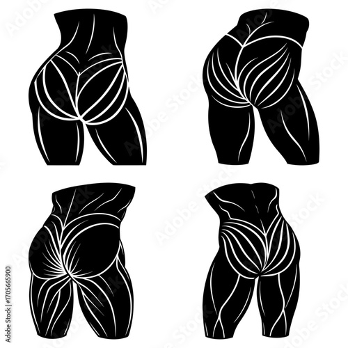 Four stylized black and white anatomical drawings of the lower torso and buttocks area of a figure