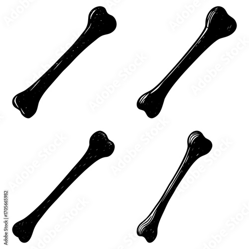 Four black bone illustrations arranged in a square format on a white background in a simple design style