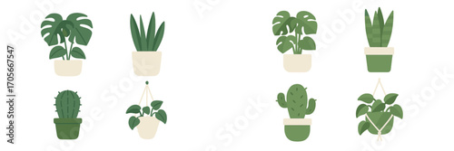 Assortment of popular green indoor plants in decorative pots and hanging planters for modern home decor