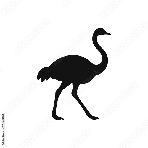 Walking Ostrich Silhouette Minimal Vector