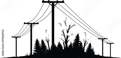 Silhouette of power lines over trees, utility poles in forest landscape, electricity cables through woods, rural energy infrastructure, nature background, outdoor electrical transmission scene