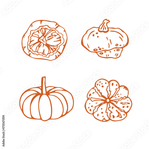 Elegant vector linear pumpkin set with various round pumpkins. Design elements for menu, healthy food, cooking book, colouring, autumn harvest, Halloween, Thanksgiving. Hand-drawn in doodle style.