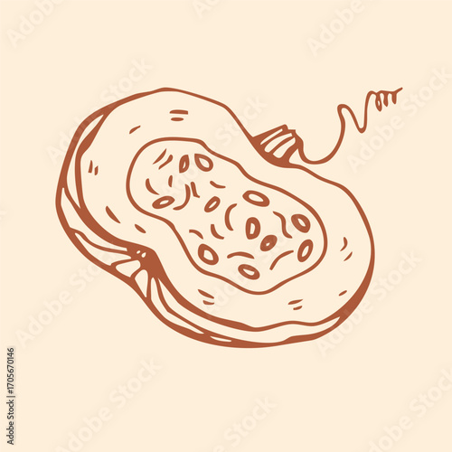 Classsic and realistic pumpkin half icon vector silhouette illustration. Hand-drawn in doodle engraved style.