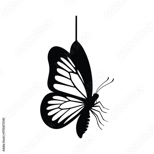 Monochrome butterfly graphic with delicate wings symbolizing transformation and new beginnings in life